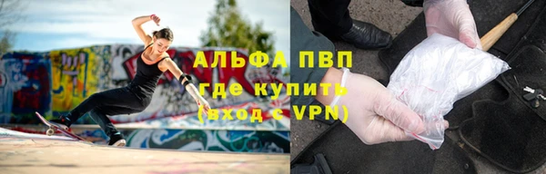 мдпв Богородск