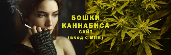 наркотики Бородино