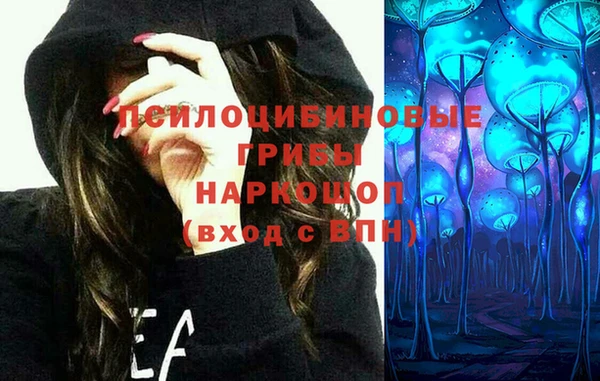 spice Бугульма